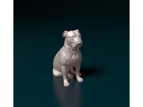English Bulldog 3D-Druckmodell
