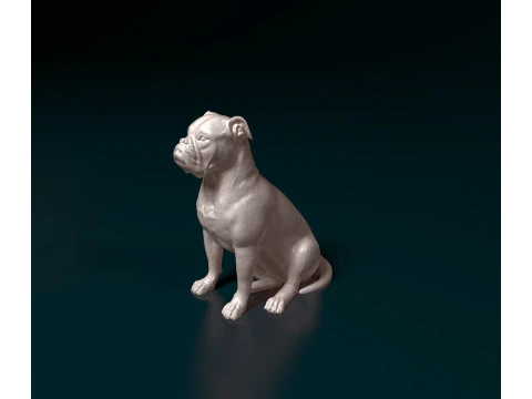 English Bulldog 3D Print Model