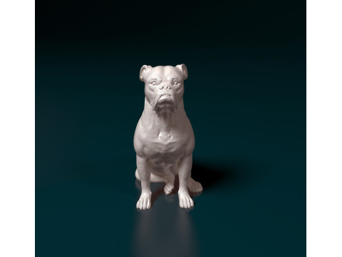 English Bulldog Modelo de Impressão 3D