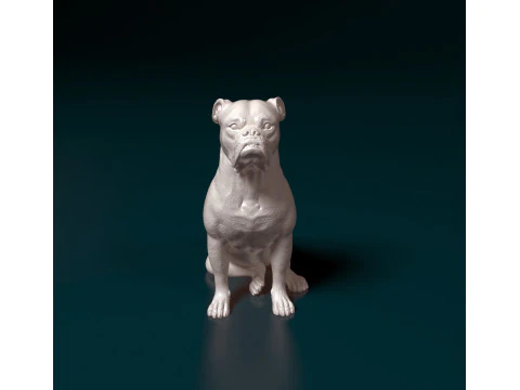 English Bulldog 3D Print Model