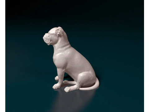 English Bulldog 3D Print Model