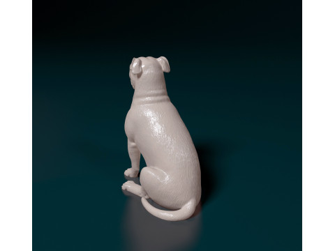 English Bulldog Modelo de Impressão 3D