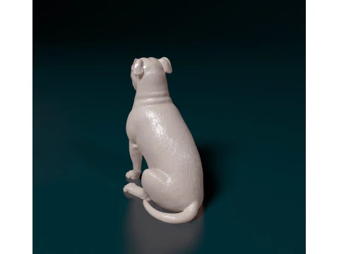 English Bulldog 3D Print Model