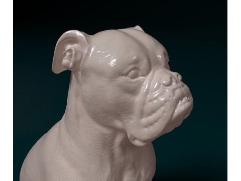 English Bulldog Modelo de Impressão 3D