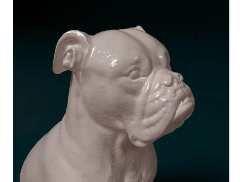 English Bulldog 3D Print Model