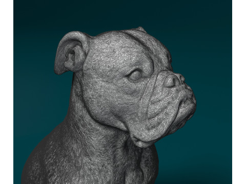 English Bulldog Modelo de Impressão 3D
