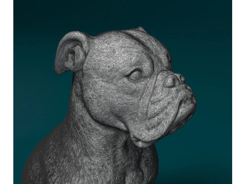 English Bulldog 3D Print Model