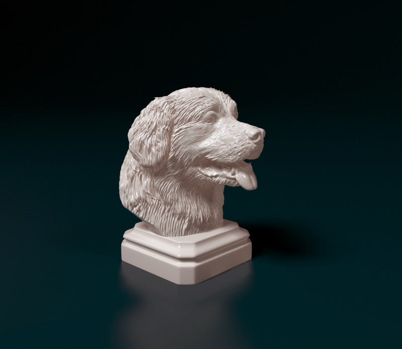 Bovaro del Bernese bust Modelo de Impressão 3D .c4d .max .obj .3ds .fbx .stl .blend 