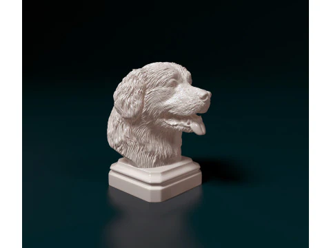 Bovaro del Bernese bust 3D Print Model