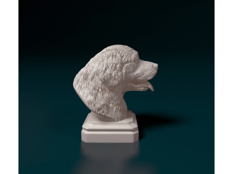 Bovaro del Bernese bust Modelo de Impressão 3D