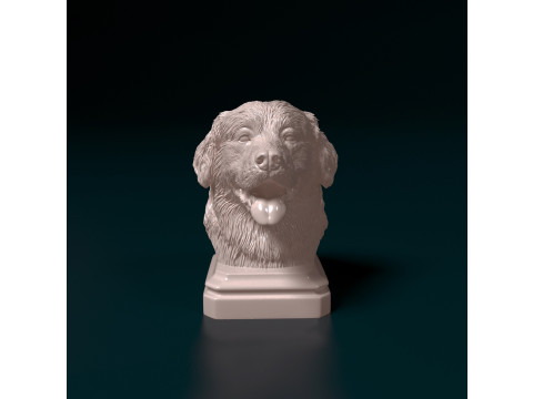 Bovaro del Bernese bust Modelo de Impressão 3D
