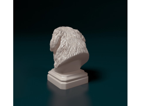 Bovaro del Bernese bust Modelo de Impressão 3D