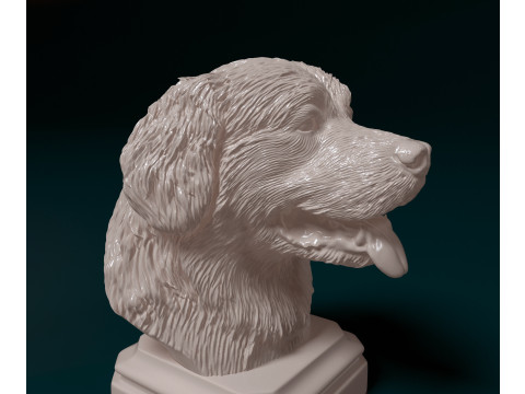 Bovaro del Bernese bust Modelo de Impressão 3D