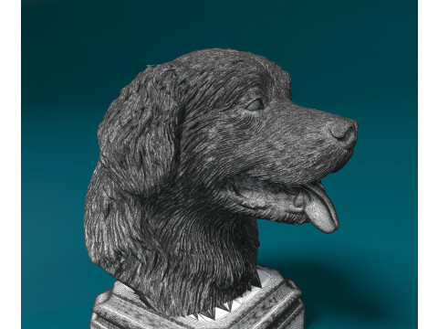 Bovaro del Bernese bust Modelo de Impressão 3D