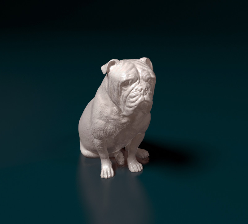 English Bulldog 3Dプリントモデル .c4d .max .obj .3ds .fbx .stl .blend 