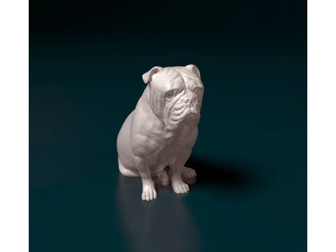 Английский бульдог 3D Принт Модель