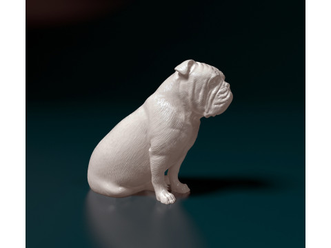 English Bulldog 3Dプリントモデル