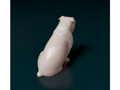 English Bulldog 3D Print Model