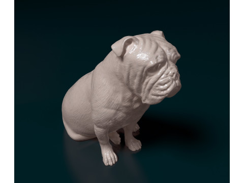 English Bulldog 3Dプリントモデル