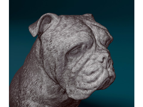 English Bulldog 3Dプリントモデル