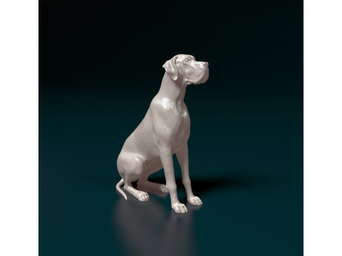 Great Dane 3D Print Model