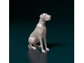 Great Dane 3D प्रिंट मॉडल