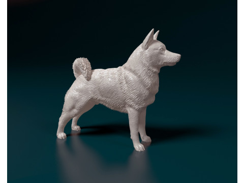 Norwegian Elhound Modello di stampa 3D