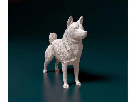 Norwegian Elhound 3D Print Model