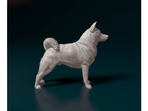 Norwegian Elhound Modelo de Impressão 3D