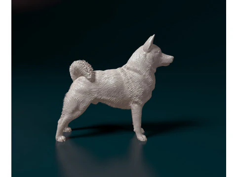 Norwegian Elhound 3D Print Model