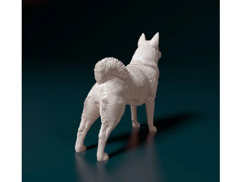 Norwegian Elhound 3D Print Model