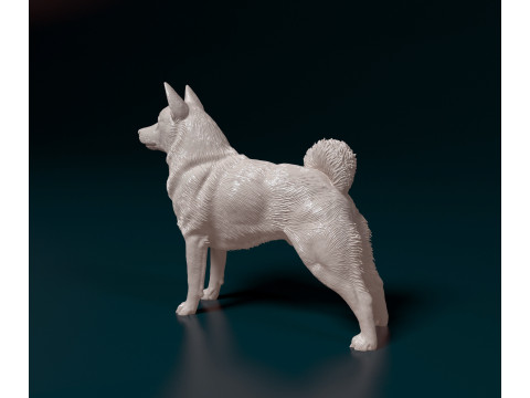 Norwegian Elhound Modelo de Impressão 3D