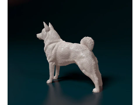 Norwegian Elhound 3D Print Model
