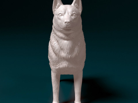 Norwegian Elhound Modelo de Impressão 3D