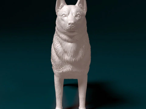Norwegian Elhound 3D Print Model