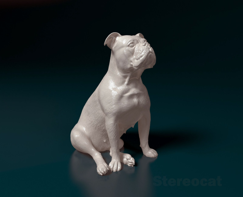 English Bulldog 3D 打印模型 .c4d .max .obj .3ds .fbx .stl .blend 