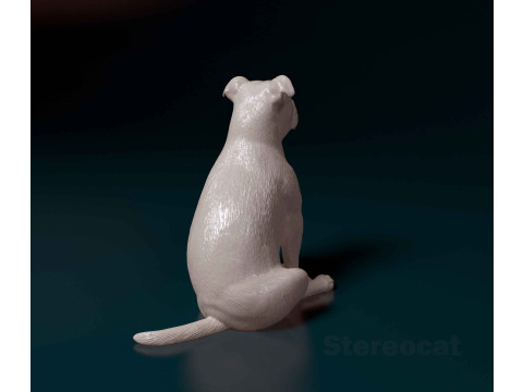English Bulldog 3D 打印模型