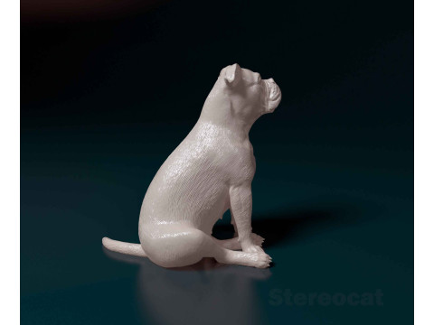 English Bulldog 3D 打印模型