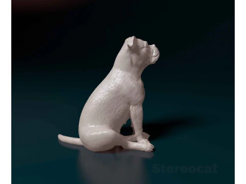 English Bulldog 3D Print Model