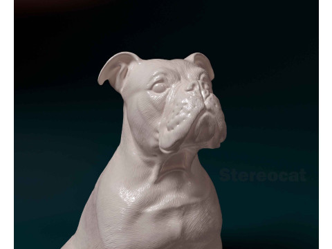 English Bulldog 3D 打印模型