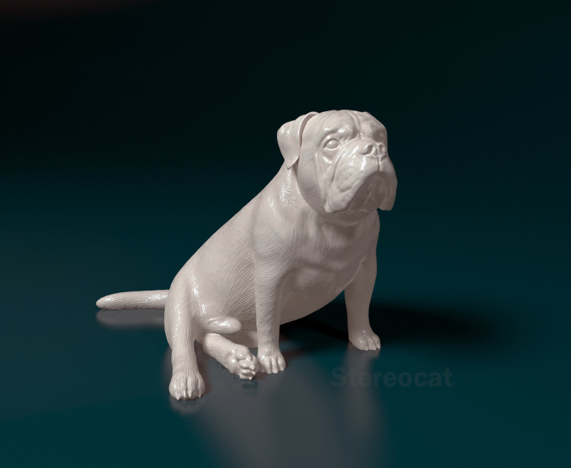 English bulldog 3D 打印模型 .c4d .max .obj .3ds .fbx .stl .blend 