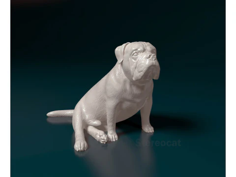 Buldogue inglês Modelo de Impressão 3D