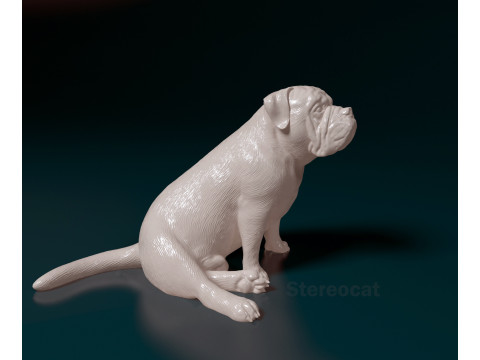 English bulldog 3D 打印模型