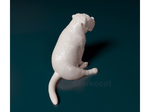 English bulldog 3D 打印模型