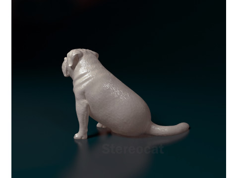 English bulldog 3D 打印模型