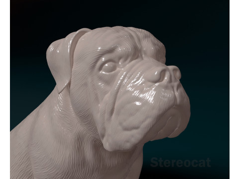 English bulldog 3D 打印模型