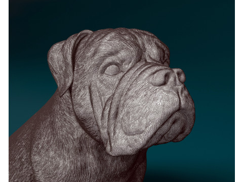 English bulldog 3D 打印模型