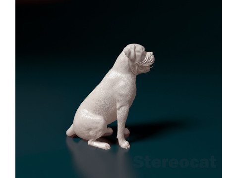 English Bulldog Modelo de Impressão 3D