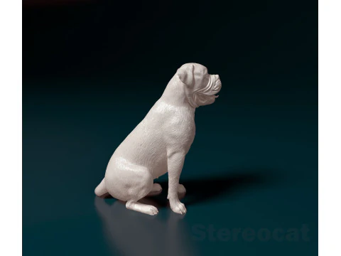 English Bulldog 3D Print Model