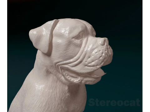 English Bulldog 3D Print Model